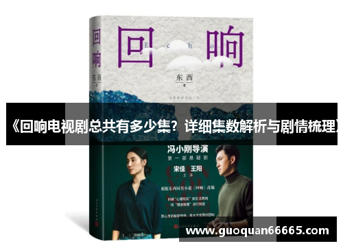 《回响电视剧总共有多少集？详细集数解析与剧情梳理》