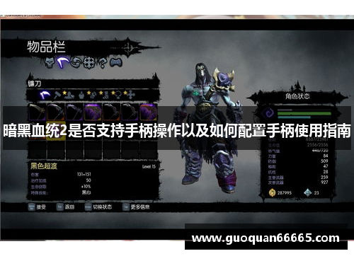 暗黑血统2是否支持手柄操作以及如何配置手柄使用指南