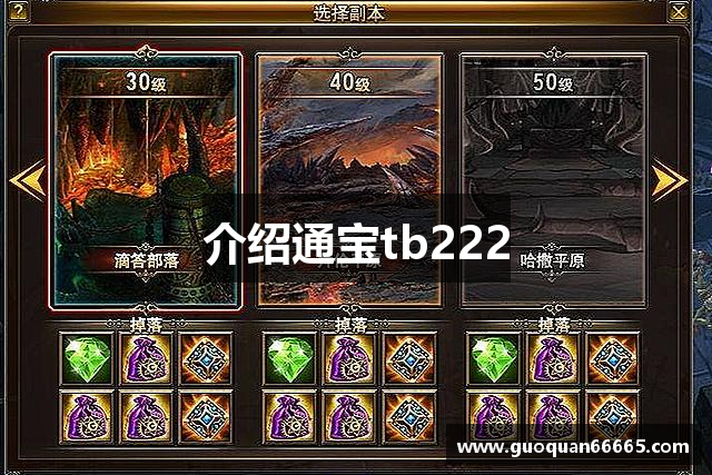 介绍通宝tb222